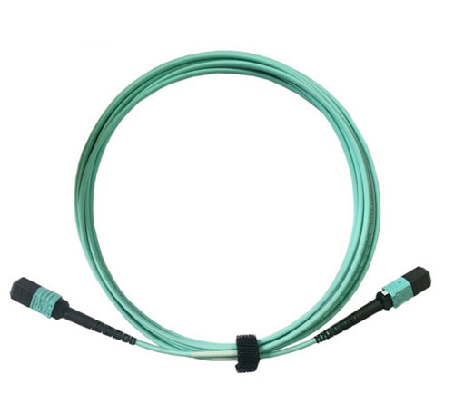 MPO Patch Cords
